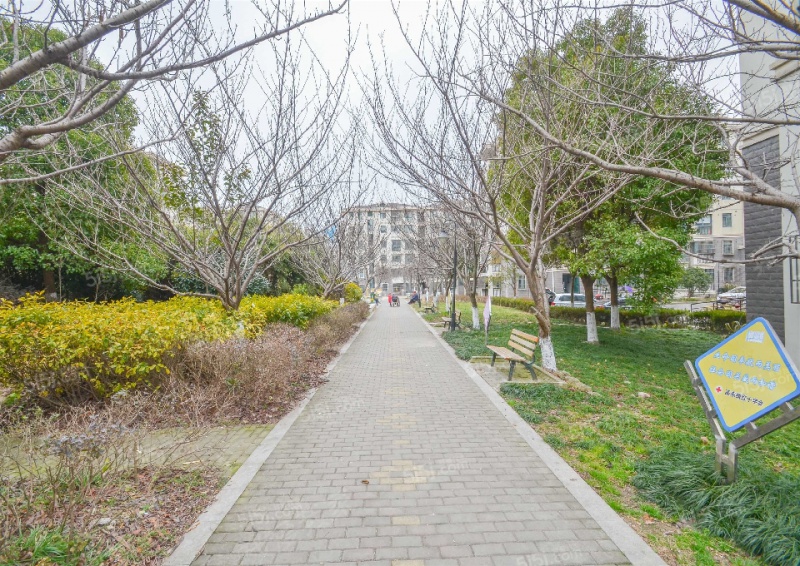 新高苑一期/新高苑一期属于什么街道