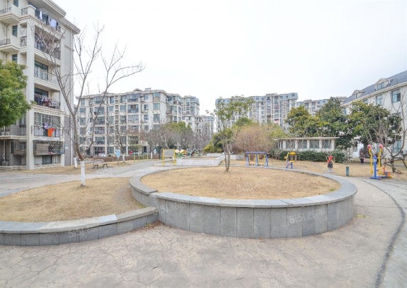 新高苑一期/新高苑一期属于什么街道