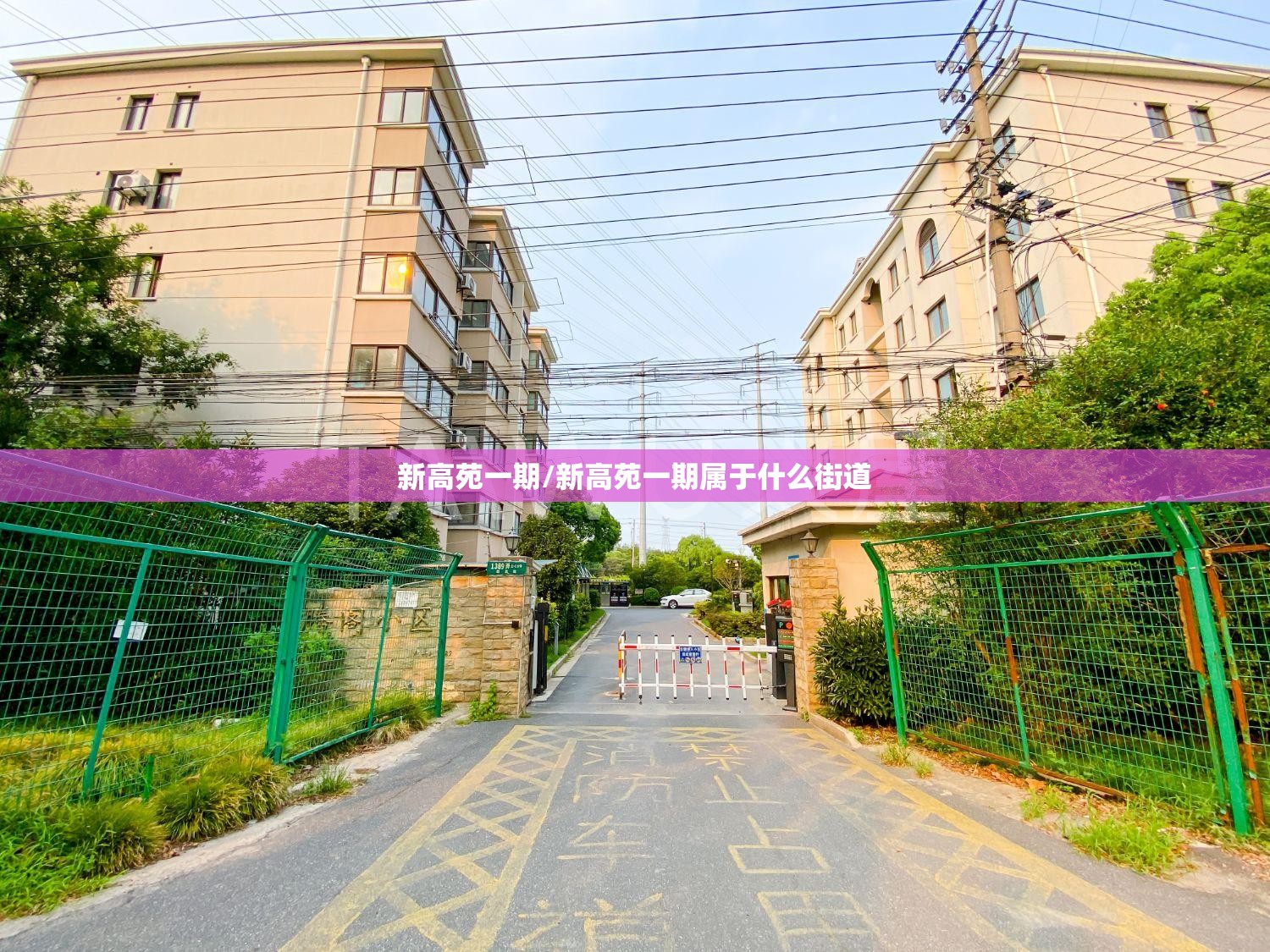 新高苑一期/新高苑一期属于什么街道