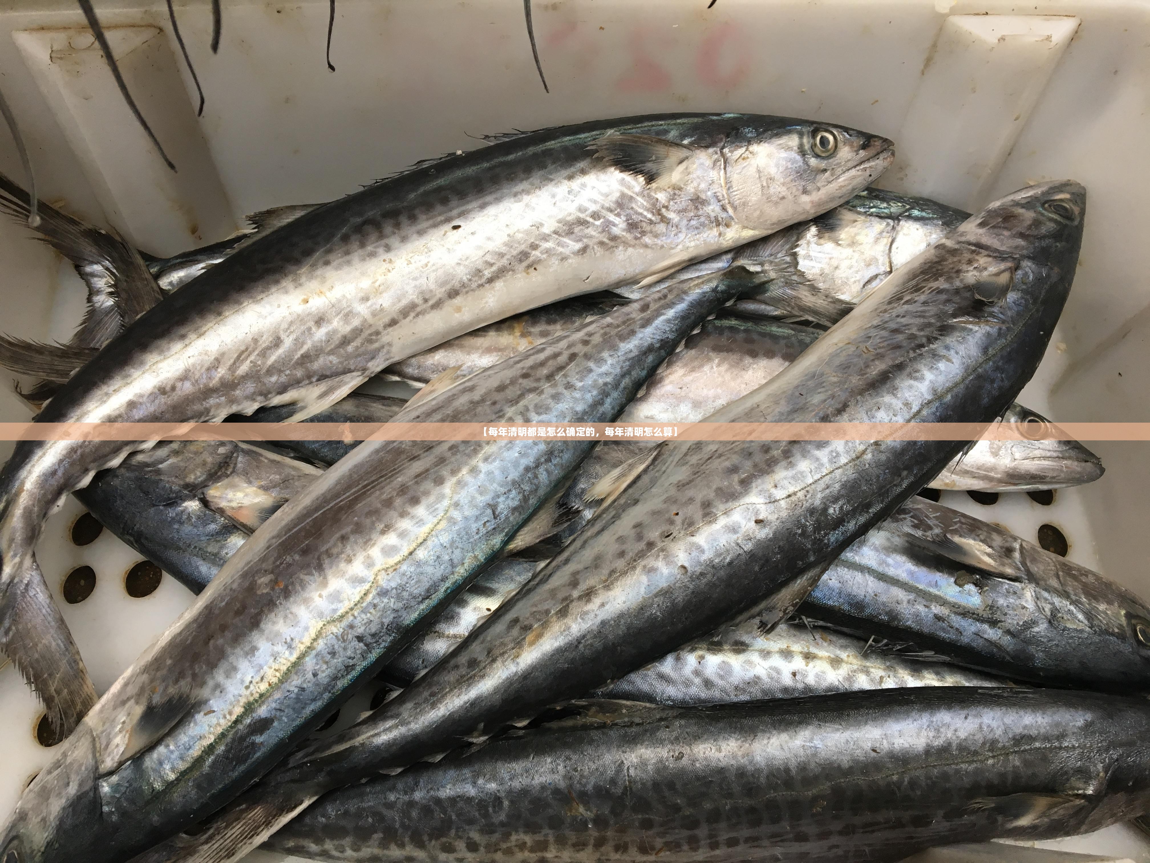 【每年清明都是怎么确定的，每年清明怎么算】