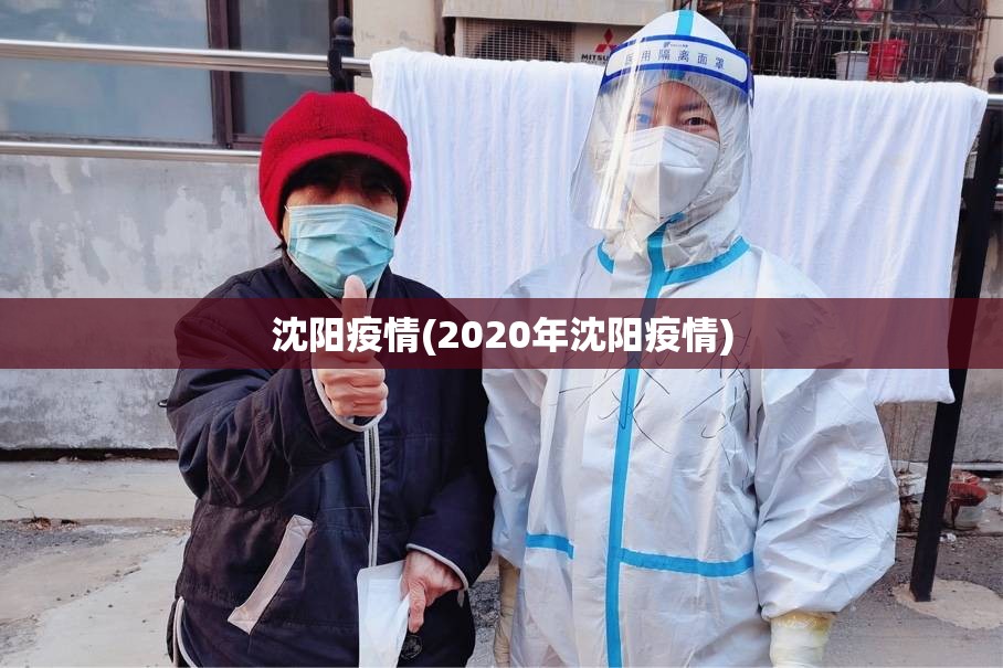 沈阳疫情(2020年沈阳疫情)