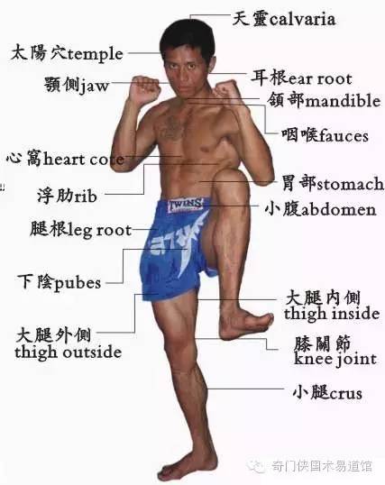 脚本教学“老师穿牛仔裤裆部凸起正常吗,难怪经常输有猫腻(透视) 脚本教学“老师穿牛仔裤裆部凸起正常吗,难怪经常输有猫腻(透视)