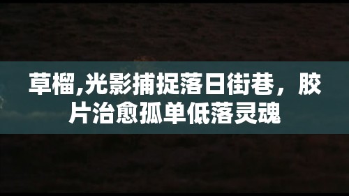 草榴,光影捕捉落日街巷，胶片治愈孤单低落灵魂