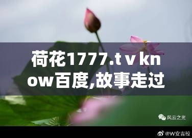 荷花1777.tⅴknow百度,故事走过风雨起落，镜头解开心中层层愁绪