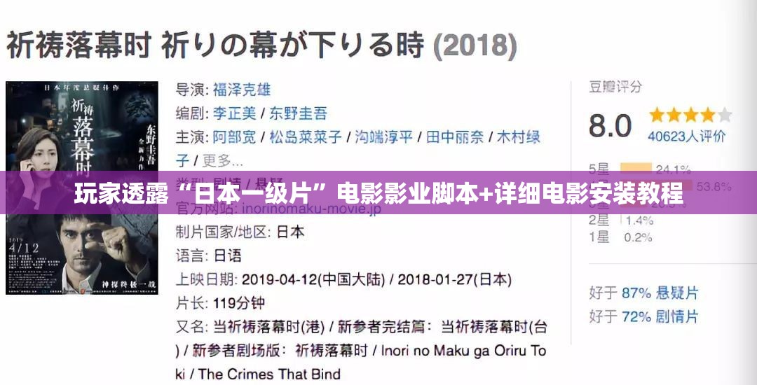 玩家透露“日本一级片”电影影业脚本+详细电影安装教程