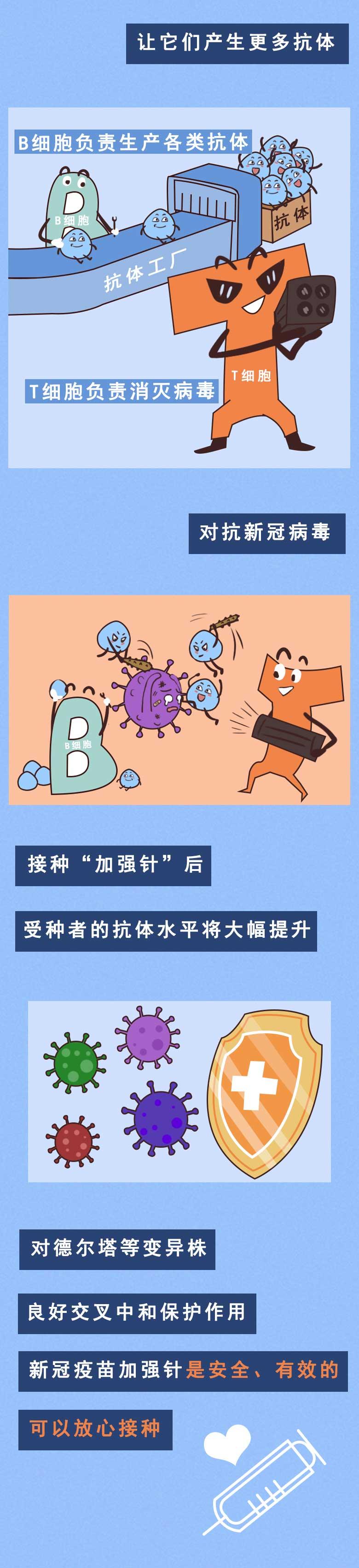 31省本土新增23例/31省新增22例本土8例