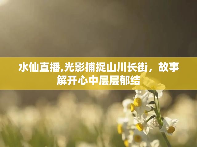 水仙直播,光影捕捉山川长街，故事解开心中层层郁结