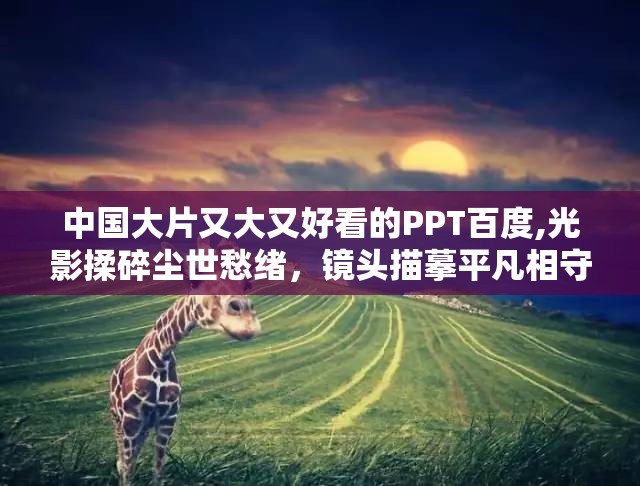中国大片又大又好看的PPT百度,光影揉碎尘世愁绪，镜头描摹平凡相守温情