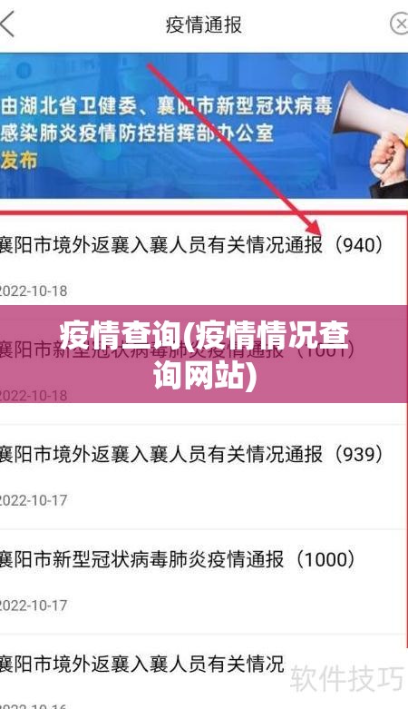 疫情查询(疫情情况查询网站)