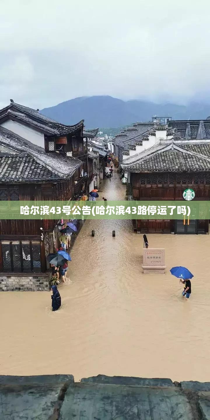 哈尔滨43号公告(哈尔滨43路停运了吗)
