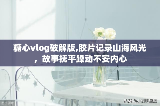 糖心vlog破解版,胶片记录山海风光，故事抚平躁动不安内心