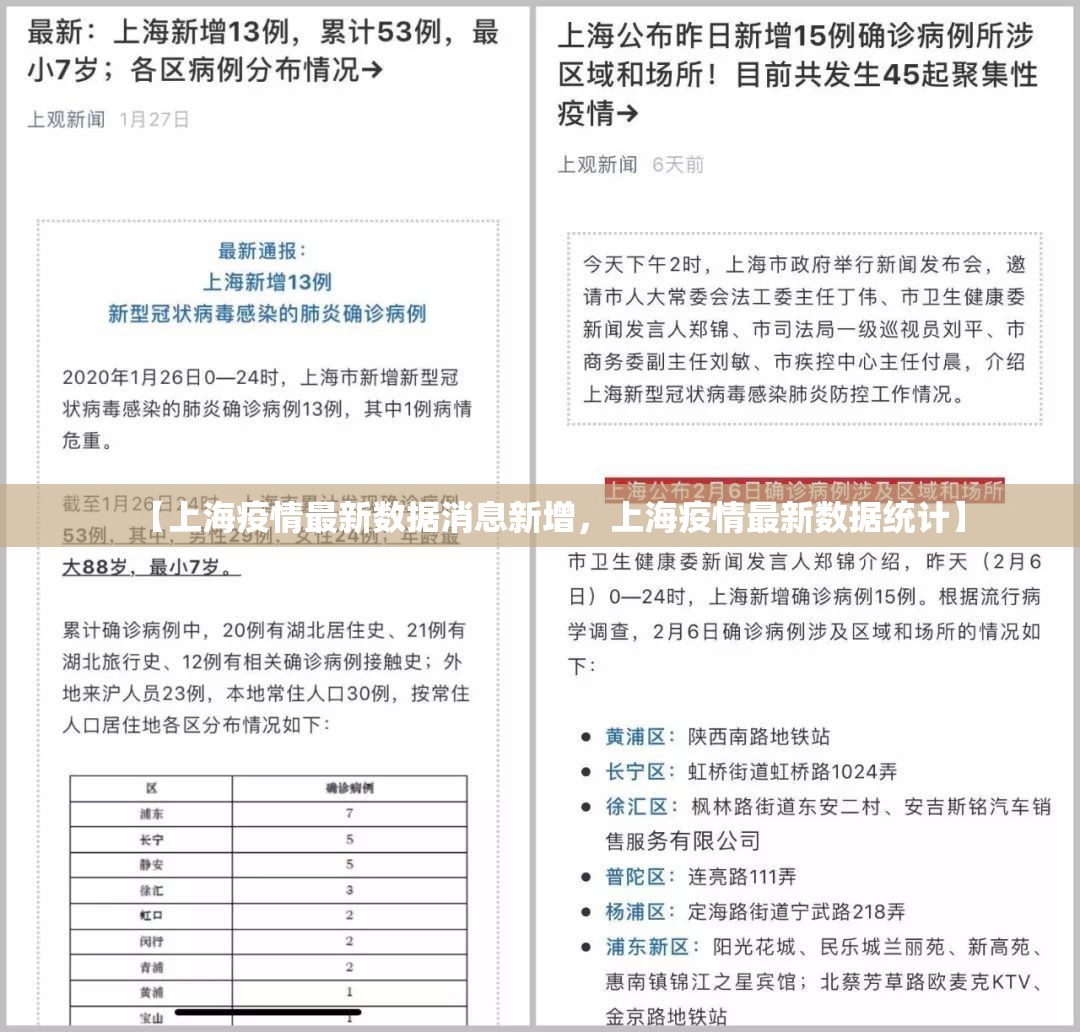 【上海疫情最新数据消息新增，上海疫情最新数据统计】