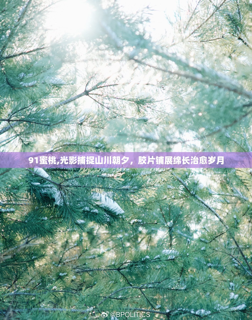 91蜜桃,光影捕捉山川朝夕，胶片铺展绵长治愈岁月