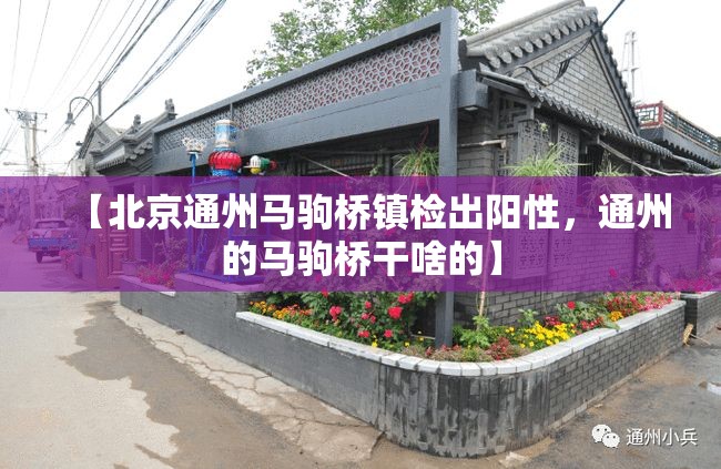 【北京通州马驹桥镇检出阳性，通州的马驹桥干啥的】