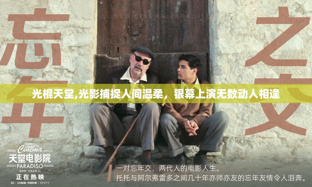 光棍天堂,光影捕捉人间温柔，银幕上演无数动人相逢
