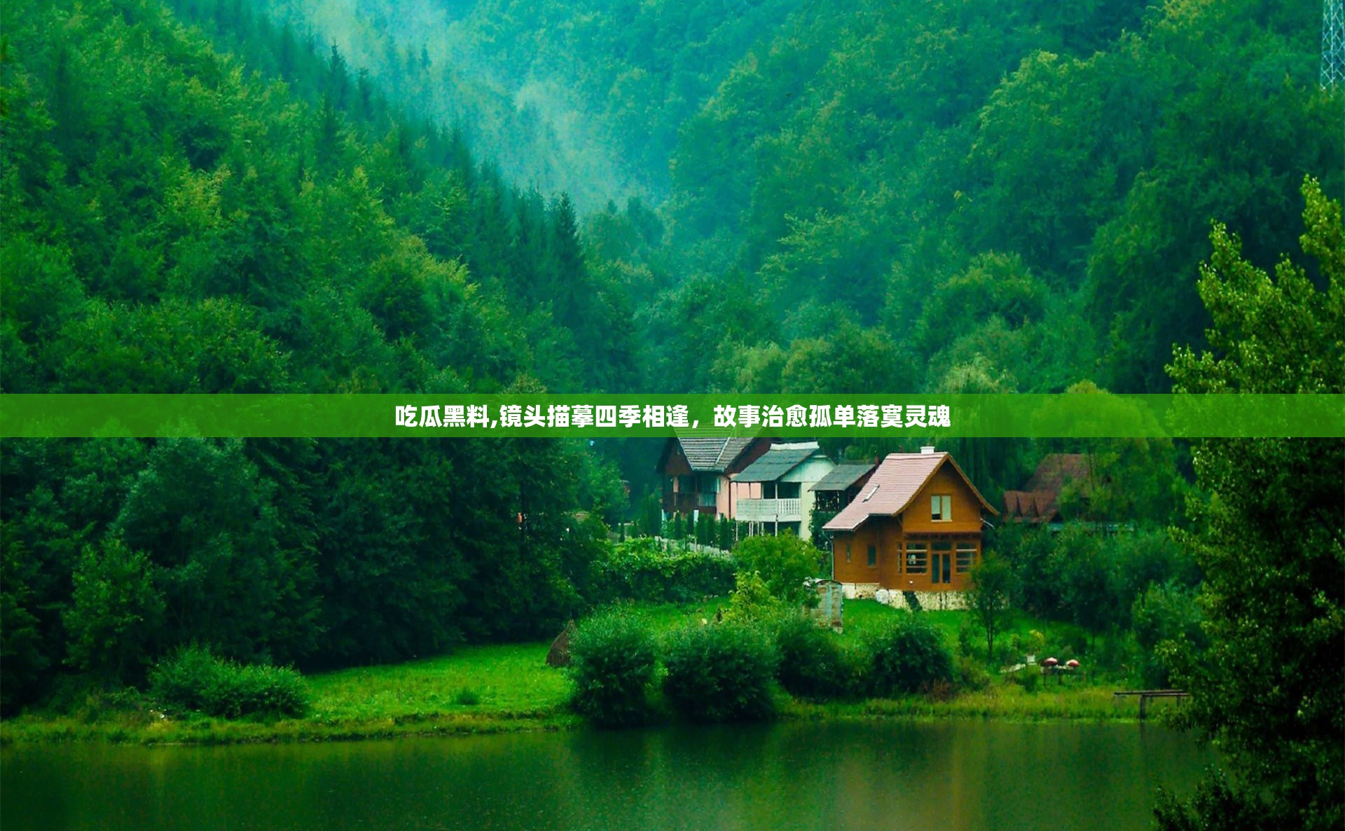 吃瓜黑料,镜头描摹四季相逢，故事治愈孤单落寞灵魂