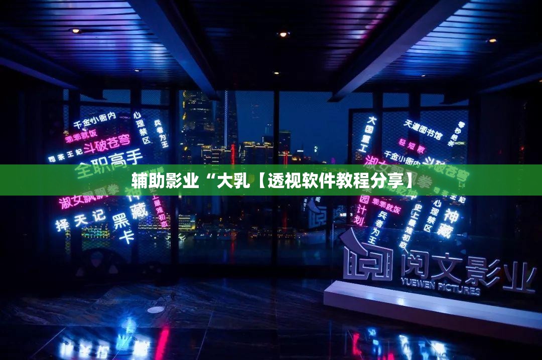 辅助影业“大乳【透视软件教程分享】