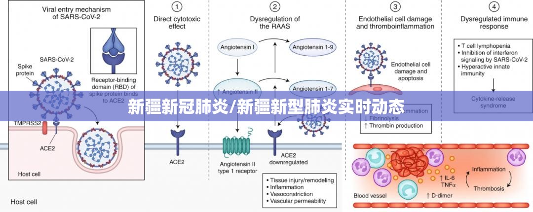 新疆新冠肺炎/新疆新型肺炎实时动态