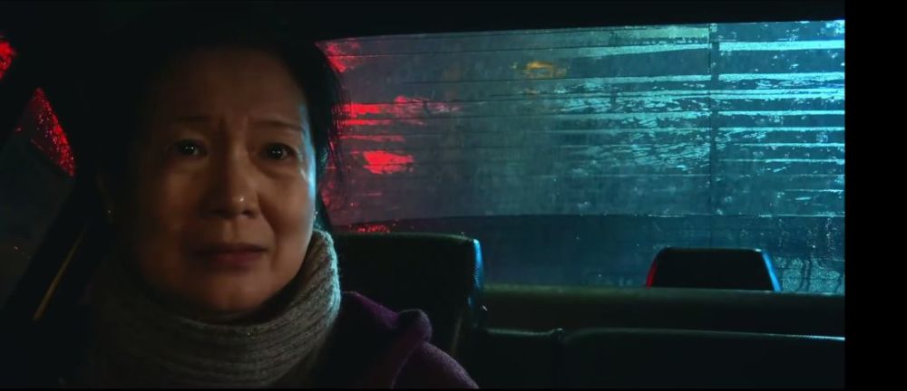 苹果视频,剧情走过风雨起落，观者收获心底几分平和