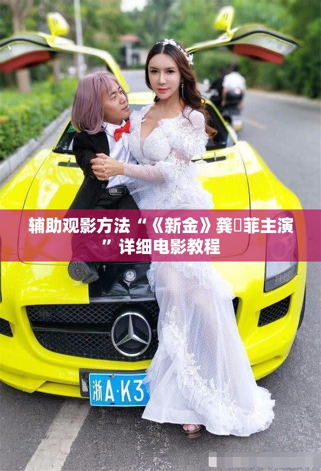 辅助观影方法“《新金》龚玥菲主演”详细电影教程