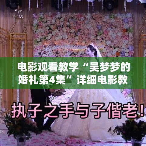 电影观看教学“吴梦梦的婚礼第4集”详细电影教程