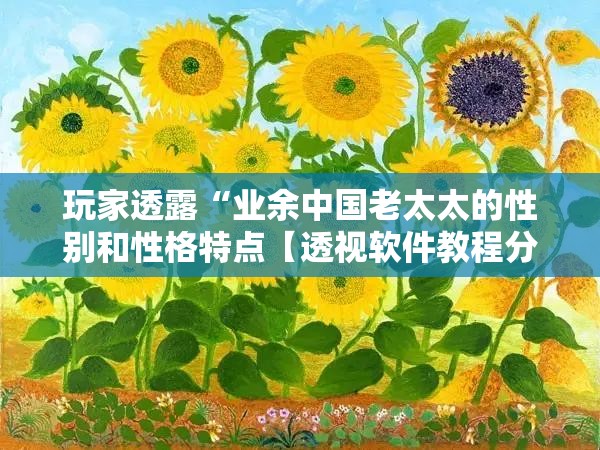 玩家透露“业余中国老太太的性别和性格特点【透视软件教程分享】