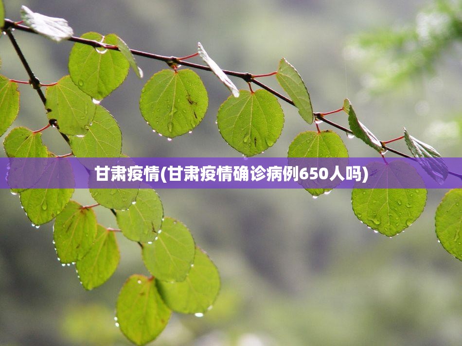 甘肃疫情(甘肃疫情确诊病例650人吗)