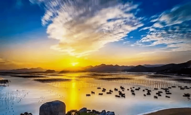 樱桃网,光影描摹人海别离，银幕留存温暖动人光景