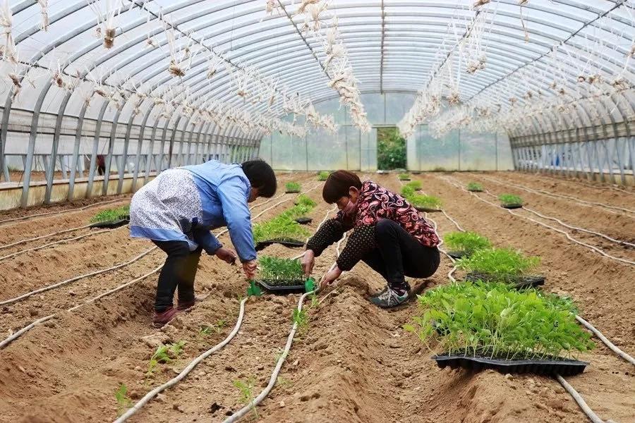 4日陕西疫情速报/1月4日陕西疫情