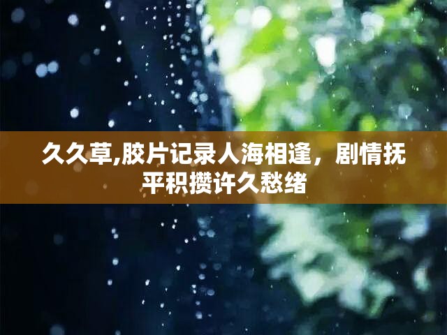 久久草,胶片记录人海相逢，剧情抚平积攒许久愁绪