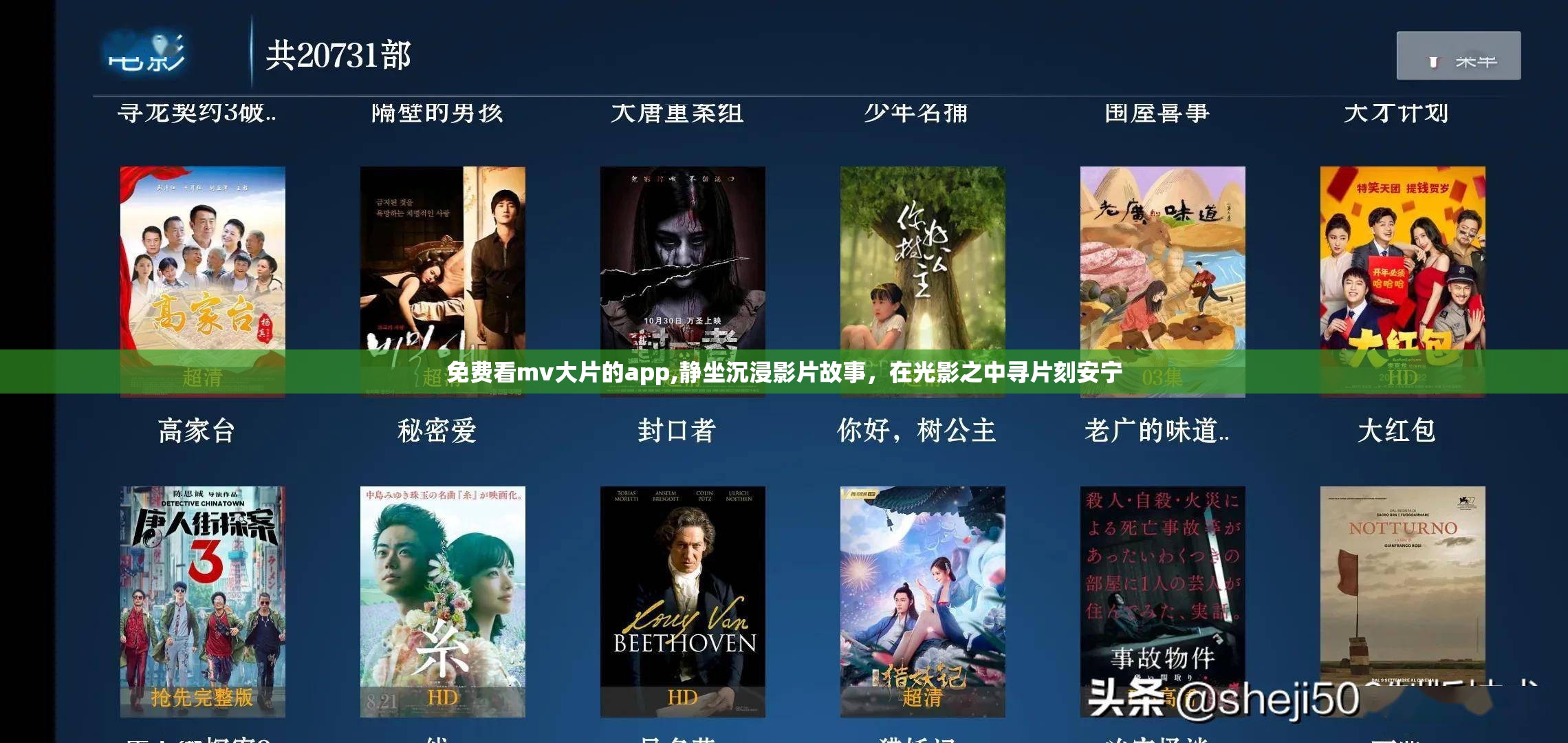 免费看mv大片的app,静坐沉浸影片故事，在光影之中寻片刻安宁