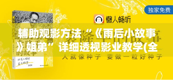 辅助观影方法“《雨后小故事》姐弟”详细透视影业教学(全新上线)
