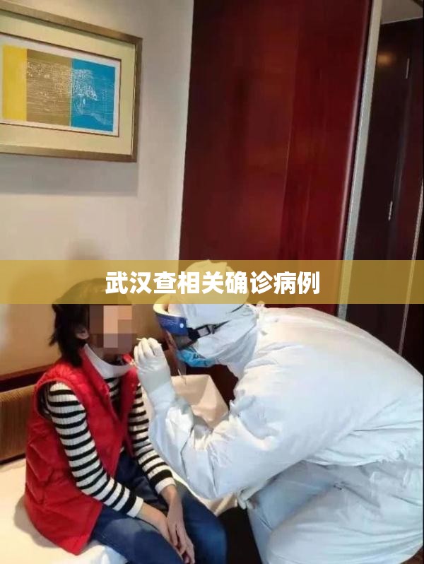 武汉查相关确诊病例