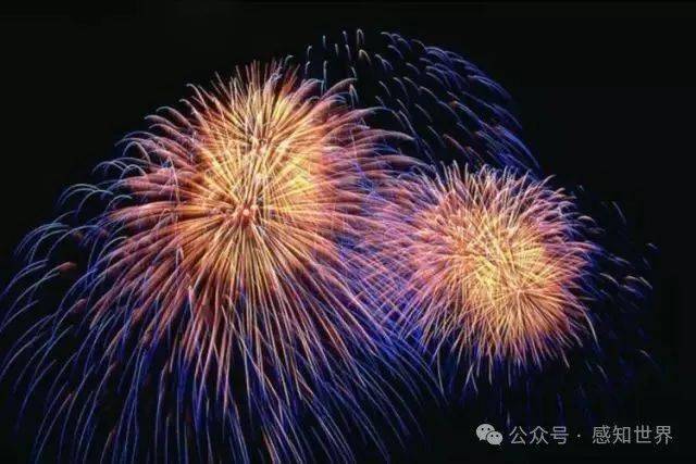 黄色入口,镜头捕捉四季烟火，画面解开心中层层困惑