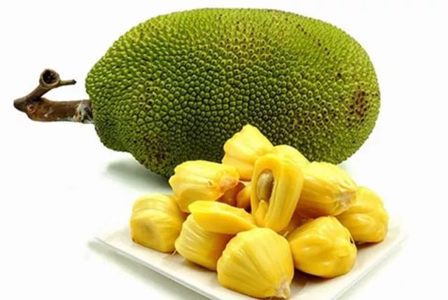 玩家透露“秋葵丝瓜草莓菠萝蜜的功效与作用”2026全新官方欣赏软件方法app下载