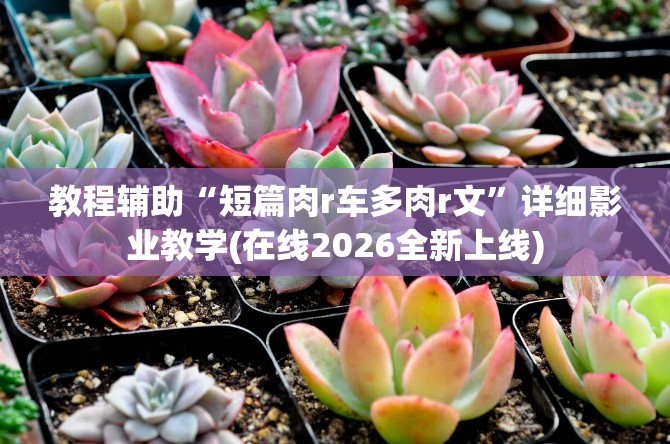 教程辅助“短篇肉r车多肉r文”详细影业教学(在线2026全新上线)