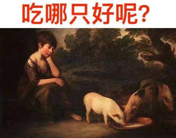 性巴克下载,银幕容纳世间百态，故事解开心中层层困惑