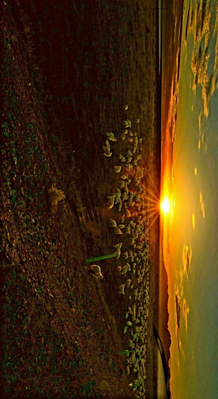 爆料网,光影构筑虚幻天地，镜头捕捉四季晚风星光