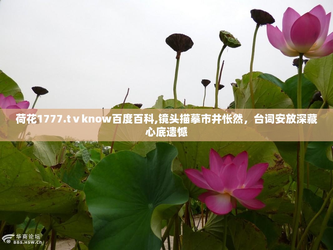 荷花1777.tⅴknow百度百科,镜头描摹市井怅然，台词安放深藏心底遗憾