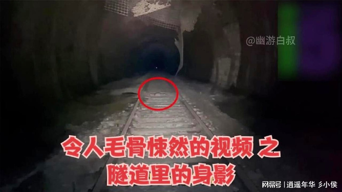 全国紧急状态：隐藏在背后的真相让人毛骨悚然！