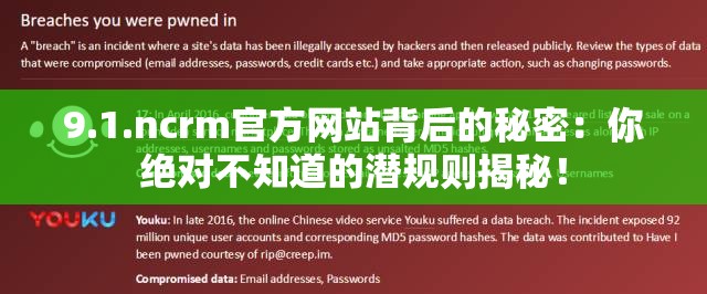 9.1.ncrm官方网站背后的秘密:你绝对不知道的潜规则揭秘! 9.1.ncrm官方网站背后的秘密:你绝对不知道的潜规则揭秘!