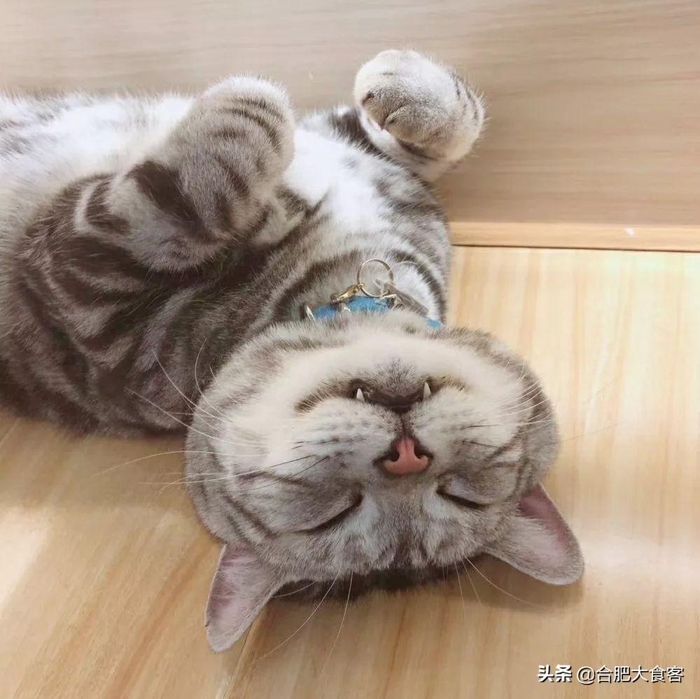 男人越睡越上瘾，是爱还是依赖？揭秘隐藏在睡眠中的粘人心理！