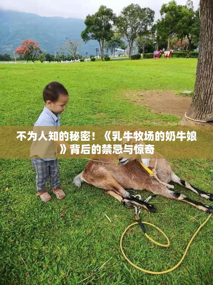不为人知的秘密！《乳牛牧场的奶牛娘》背后的禁忌与惊奇