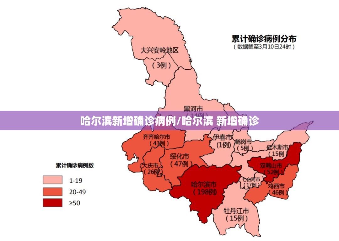 哈尔滨新增确诊病例/哈尔滨 新增确诊