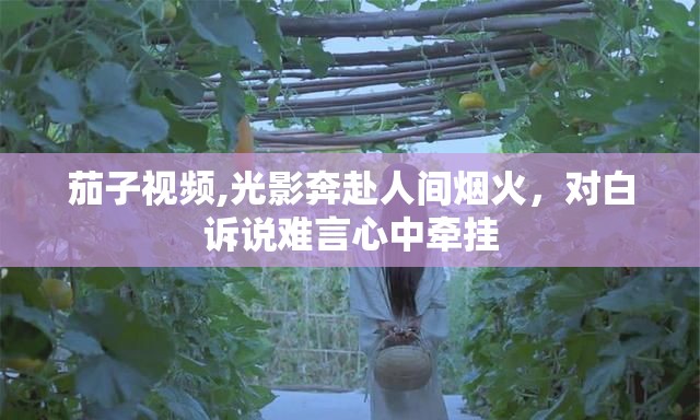 茄子视频,光影奔赴人间烟火，对白诉说难言心中牵挂