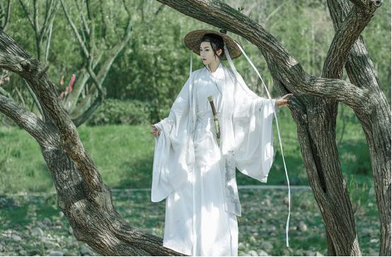 《雪中悍刀行3》日本免费观看版揭秘：隐藏的剧情与人物背后，谁才是最大的秘密？