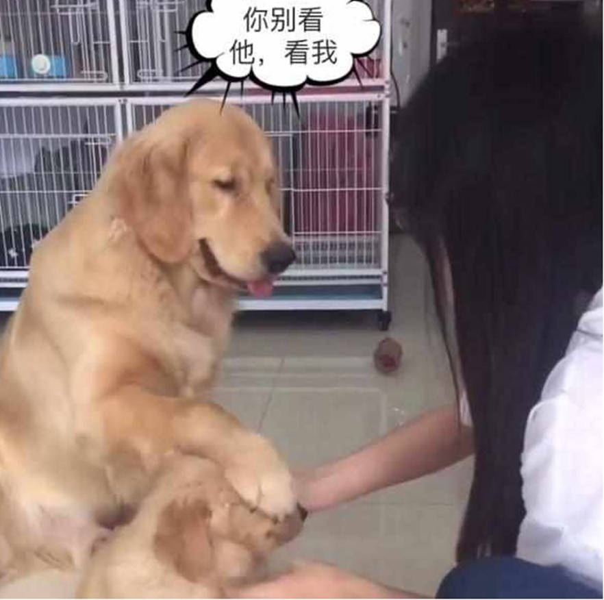 小母狗主人背后的秘密：她隐藏的真实身份竟是……