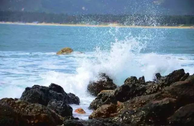 19号海滩:隐藏在波涛背后的秘密,敢来探险吗? 19号海滩:隐藏在波涛背后的秘密,敢来探险吗?