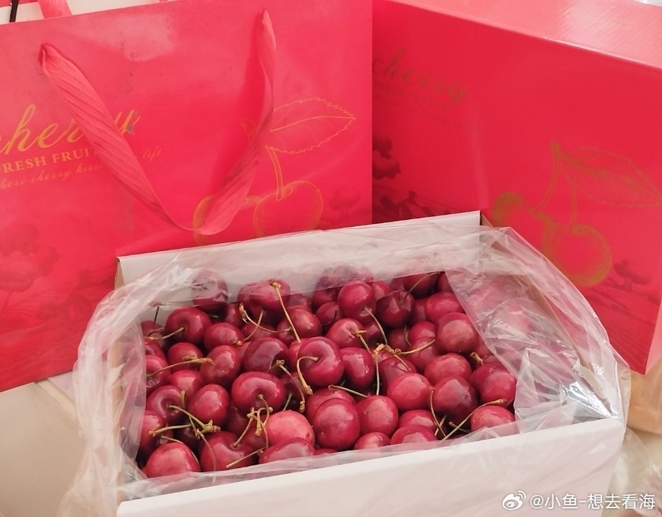 草莓樱桃西瓜榴莲通用包装盒,镜头捕捉四季烟火，画面解开心中层层困惑