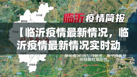 【临沂疫情最新情况，临沂疫情最新情况实时动态】